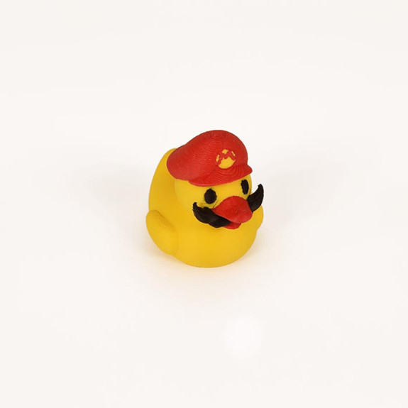 Mario Duck